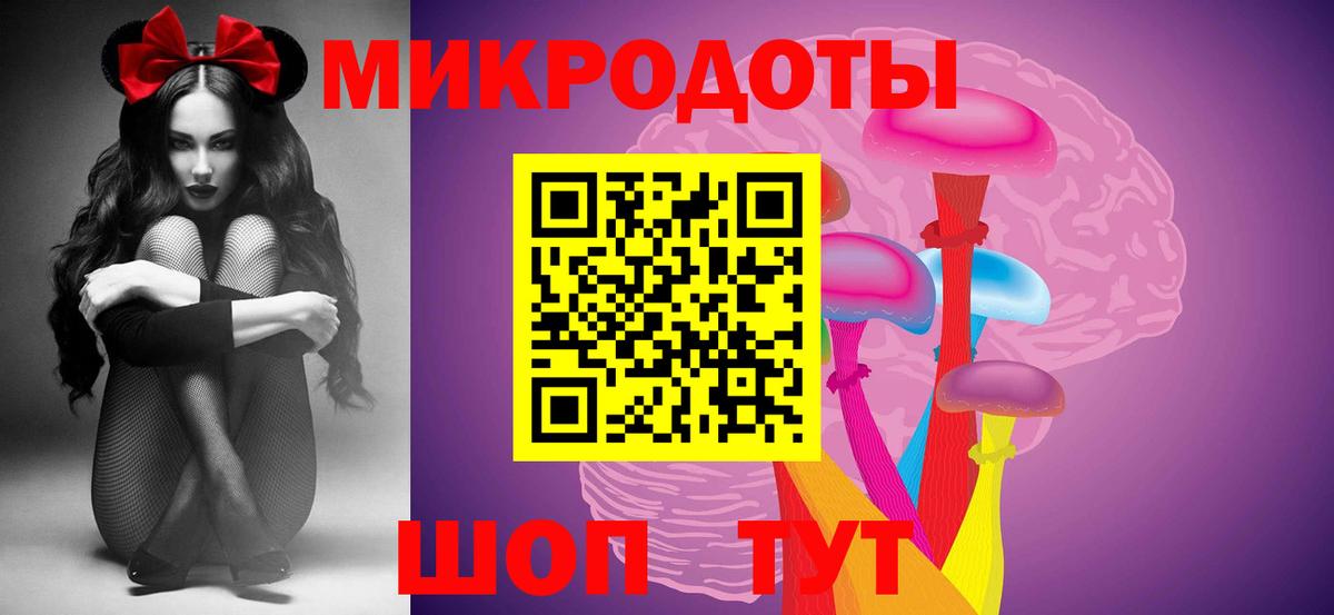 Псилоцибиновые грибы мицелий  Вход с VPN  Элиста 